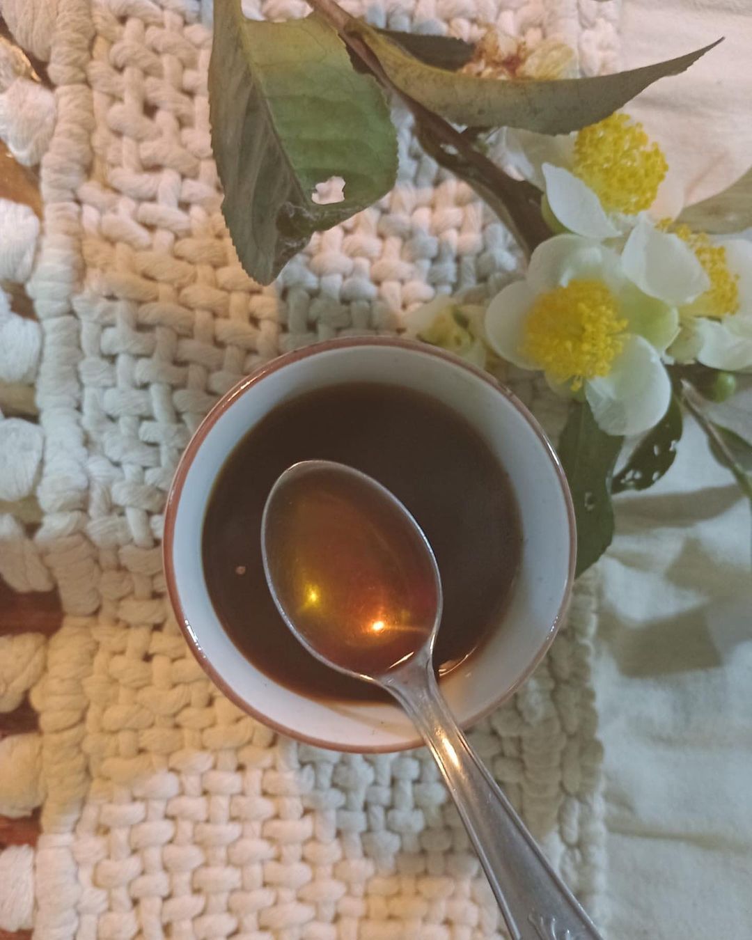 Expo Té Argentina