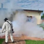 dengue-6