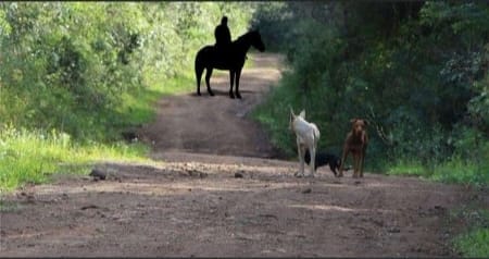 asesino de cerro corá