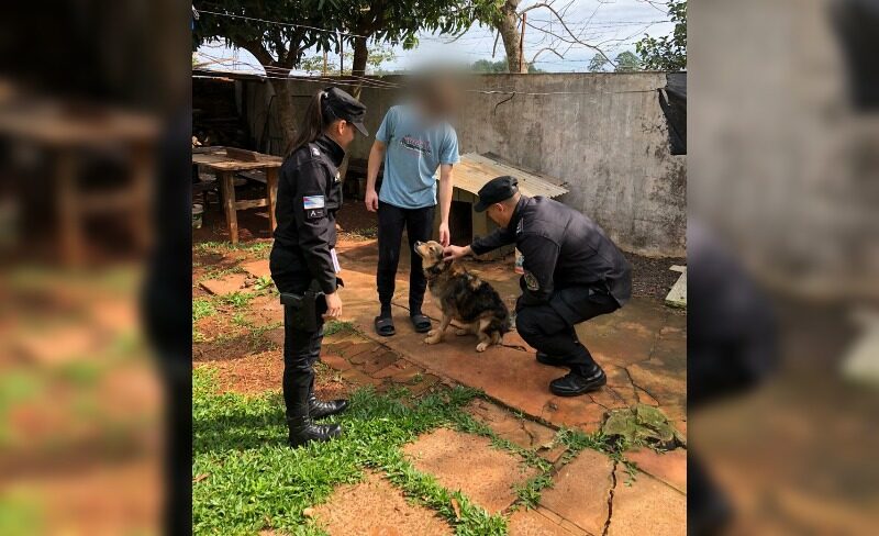 envenenamiento de animales