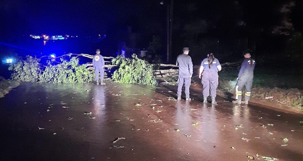 zona centro de misiones