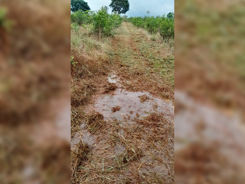 Emergencia Agropecuaria en Misiones