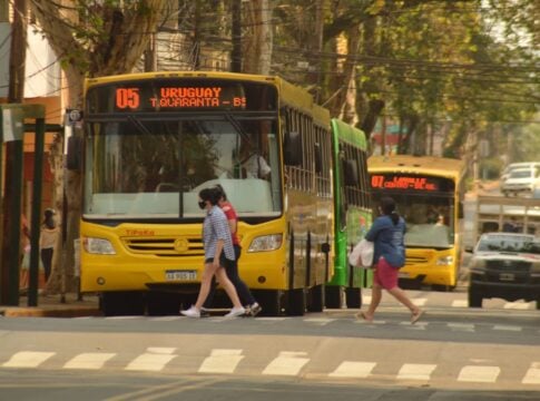 transporte gratuito el domingo de elecciones