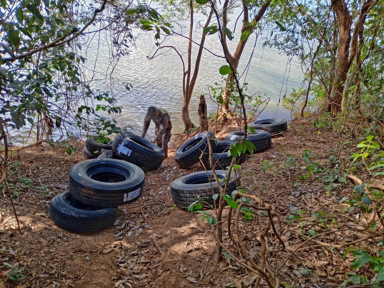 neumáticos