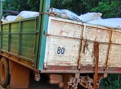 camiones de soja incautados