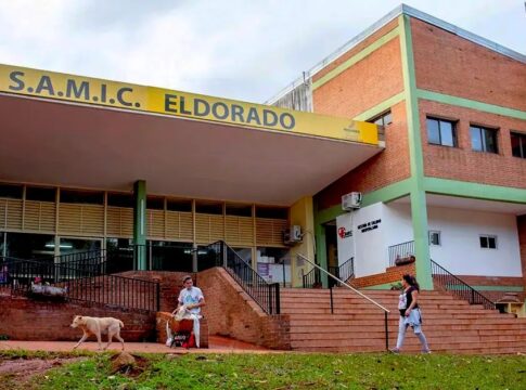 ataque de pitbulls en bernardo de irigoyen