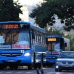 colectivo-obera