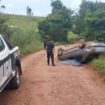 fallecio-tras-despistar-en-Colonia-Aurora-
