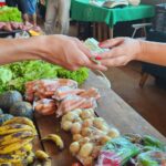 feria-franca-santa-rita-5