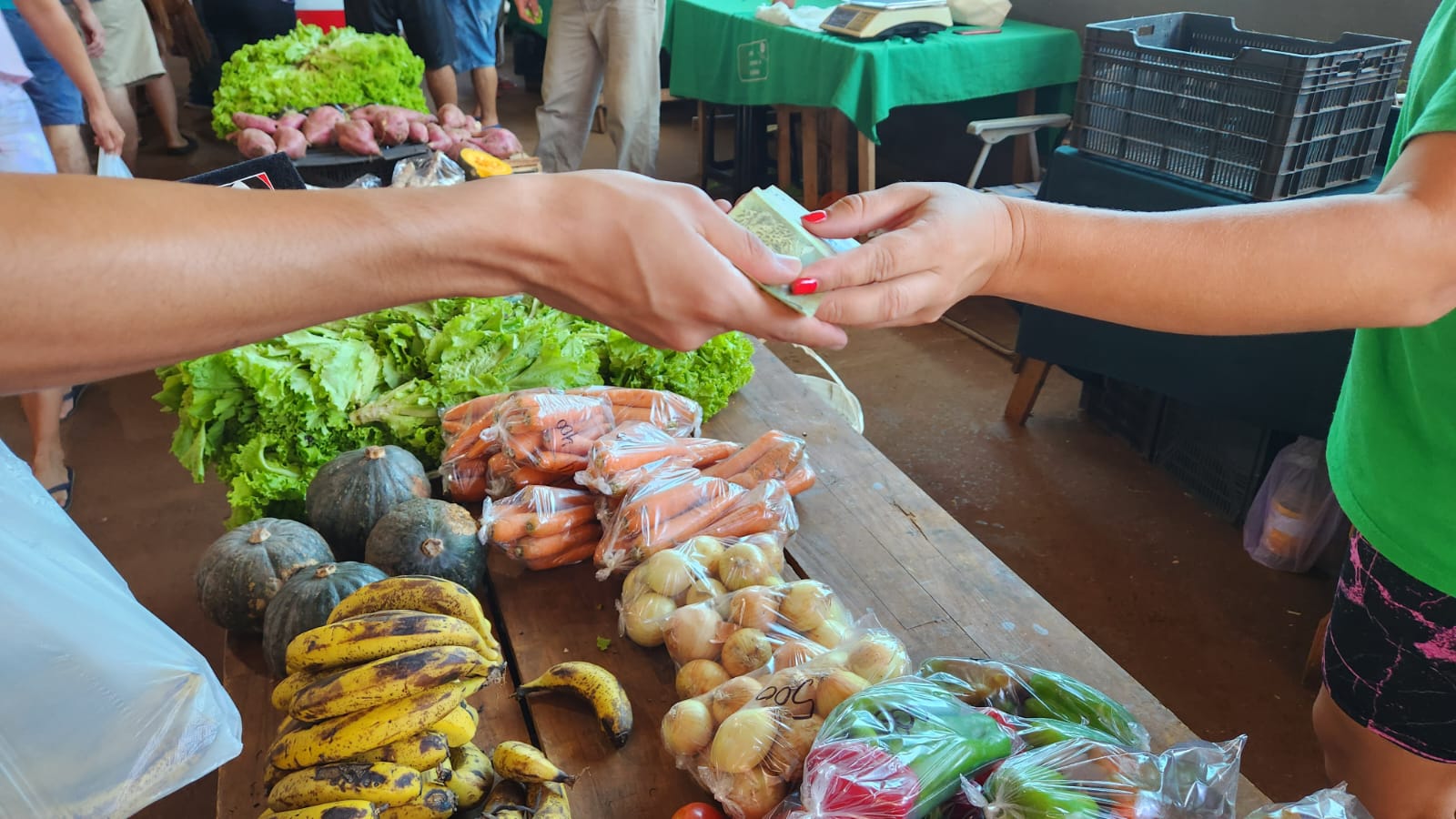 feria franca en posadas