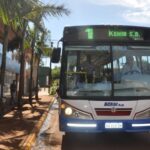 kenia-colectivos