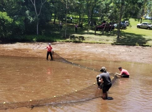 pescados en Misiones