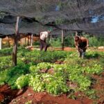 productores-de-Misiones