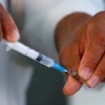 vacunacion-dengue-