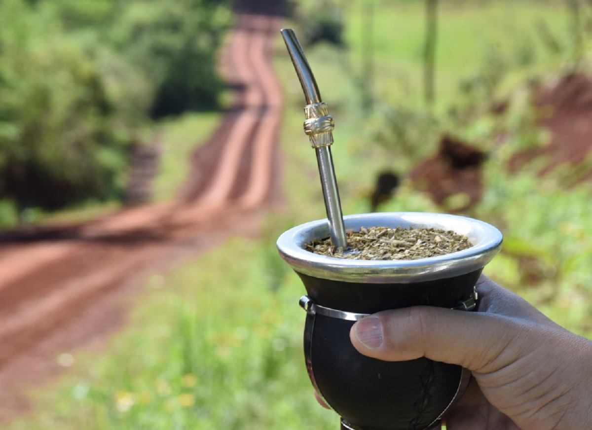 Yerba mate