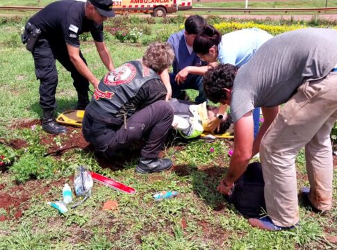 despistó en la ruta 12