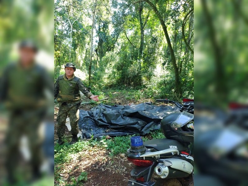 flora y fauna de Misiones