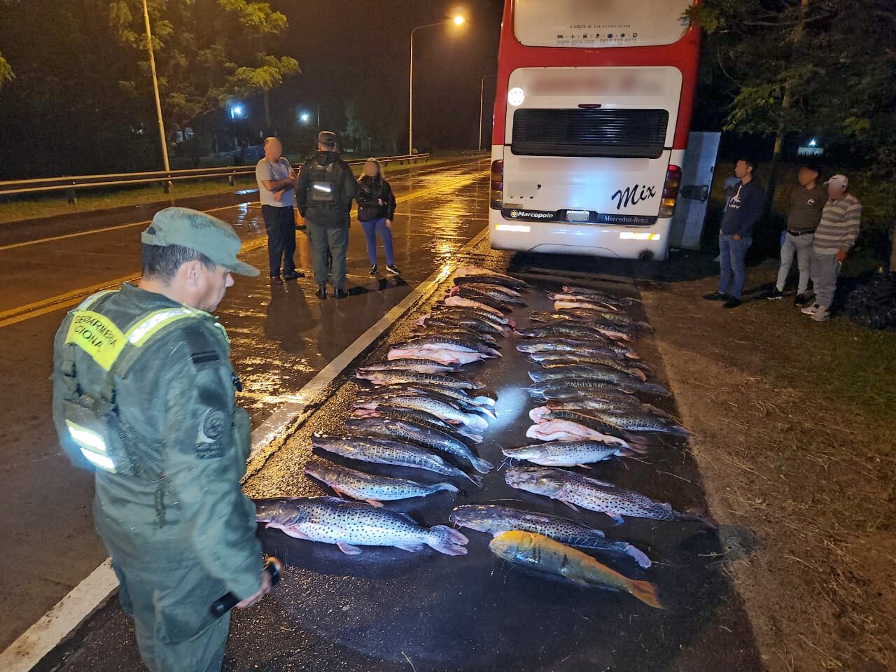 pescado gendarmería