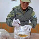 incautan-marihuana-1-e1714060499257