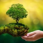 Medio-Ambiente-1