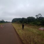 despiste-en-campo-grande