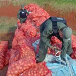 interceptan-contrabando