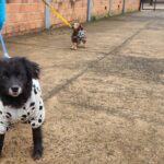 WhatsApp-Image-2024-06-26-at-10.21.57-scaled-e1719411675443-2048x1120