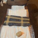 drogas-en-un-transporte-e1718292548908
