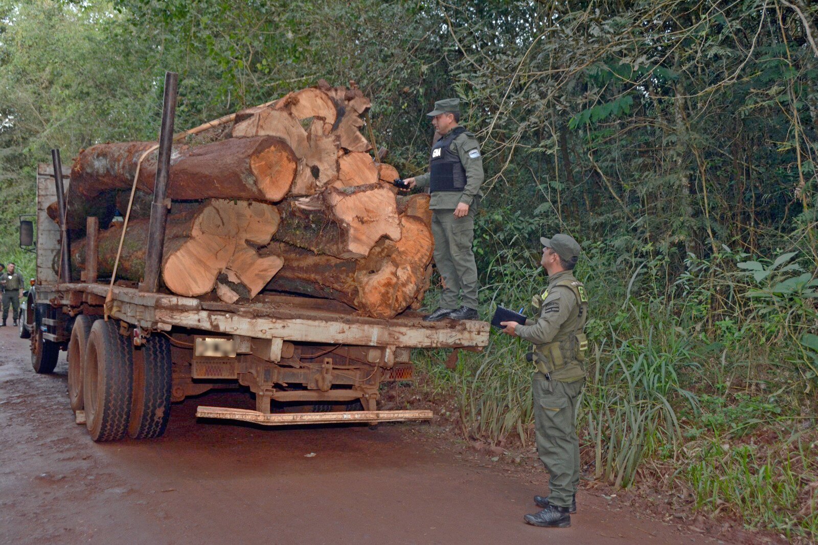 madera nativa