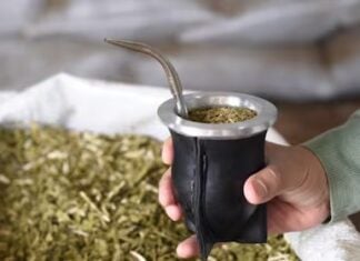 yerba mate