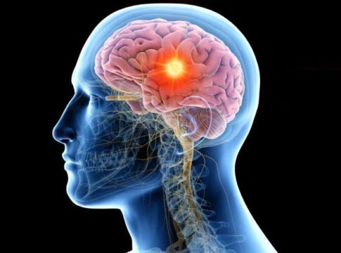 Día Mundial del Cerebro