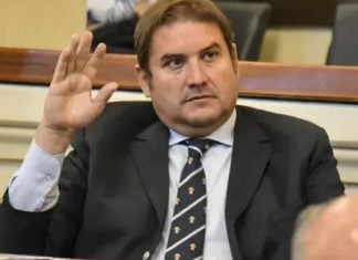 El senador Diego Pellegrini.