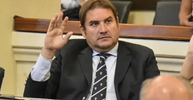 El senador Diego Pellegrini.