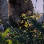 Jornada-de-plantacion-Reserva-El-Puente-Verde-PH-Julieta-Maccarino-2048x1368