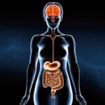 Salud-intestinal