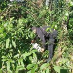 recuperan-elemenntos-robados-e1721309468223