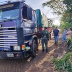 secuestrabn-soja-ilegal