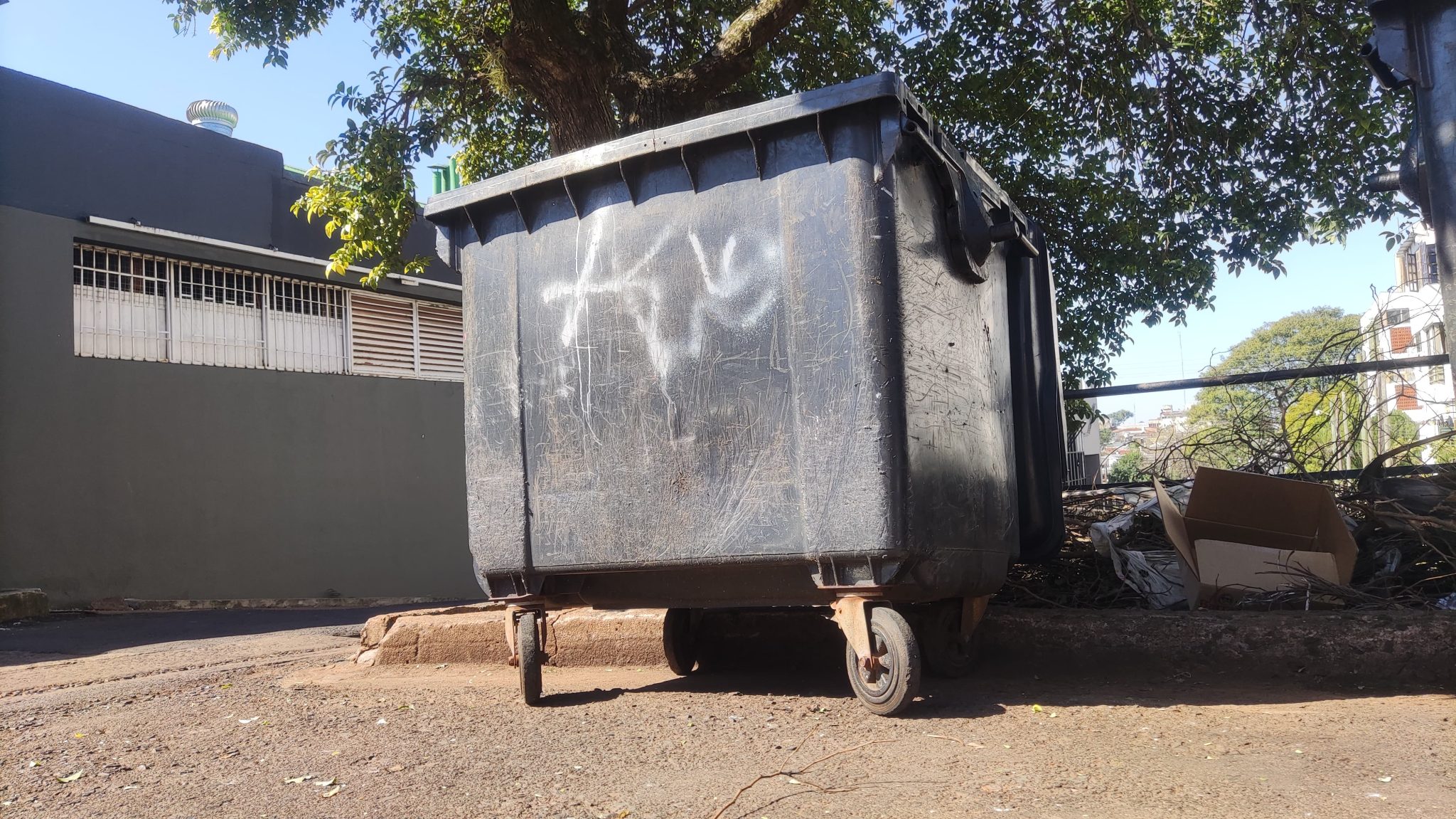 feto abandonado en el basurero