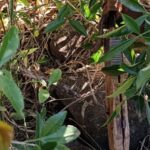 WhatsApp-Image-2024-08-15-at-13.02.05-e1723755118510