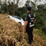 despiste-en-campo-ramon-e1722945346622