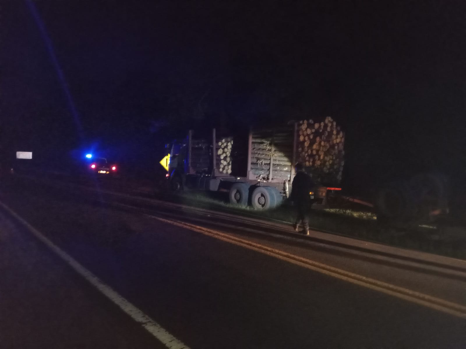 Camión cargado con rollos de pino despistó