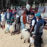 expo-fachinal-4tbjbalrtvi0