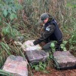 gendarmeria