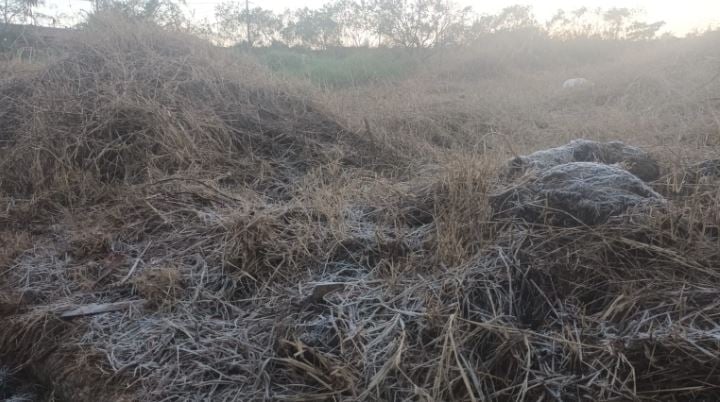 heladas en misiones