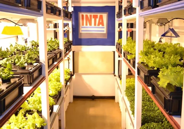 INTA