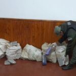 secuestran-marihuana-1