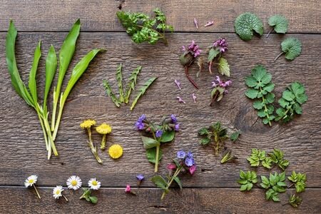 Cómo hacer un botiquín casero con plantas medicinales