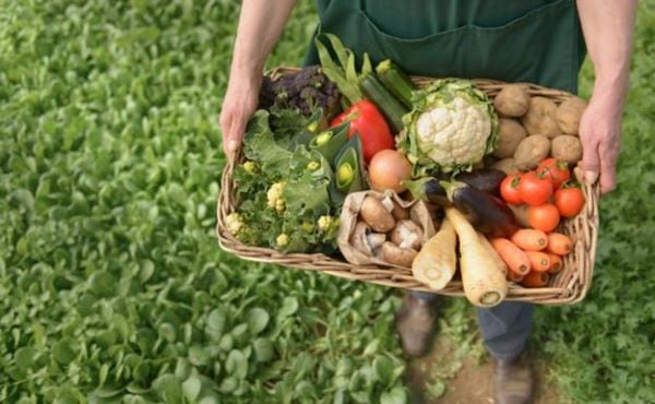seguridad alimentaria