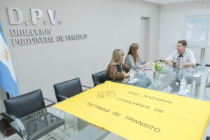 DPV-ESTRELLAS-AMARILLAS-2024-4