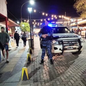 seguridad-policial